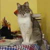 Отзыв от Альфия Королькова